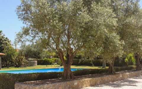 Quinta Dahlia: Acqua, Pianta, Mobilia, Piscina, Proprietà, Cielo, Azzurro, Blu, Natura, Albero