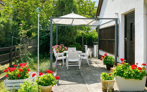 Suzy: Fiore, Pianta, Proprietà, Vaso Di Fiori, Costruzione, Pianta Della Casa, Shade, Sedia, Albero, Mobili Da Esterno
