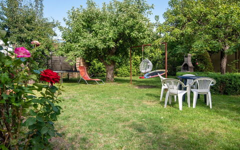 Koszalin 300: Arbusto, Giardino, Prato, Primavera, Backyard, Cortile, Landscaping, Shade, Parco