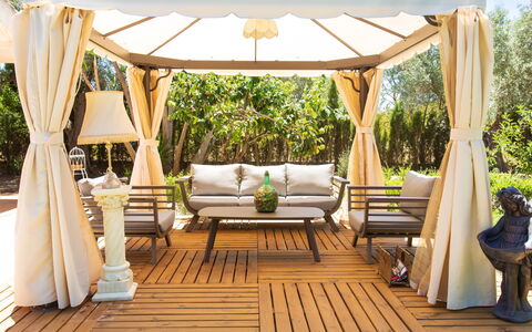 Rincón del sur: Pianta, Mobilia, Proprietà, Shade, Mobili Da Esterno, Cielo, Sedia, Interior Design, Albero, Legna