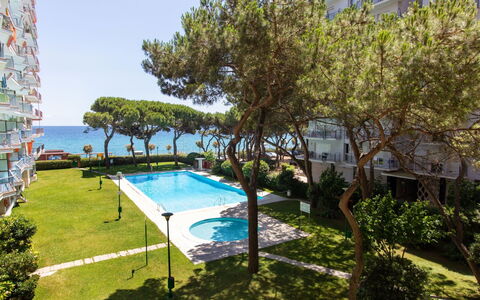 Palmeras: Acqua, Pianta, Costruzione, Cielo, Piscina, Shade, Finestra, Albero, Condominio, Erba