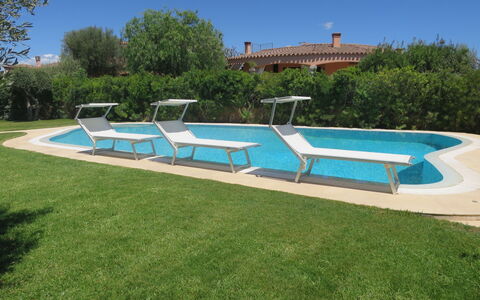 Rei Sole (Rei308): Cielo, Piscina, Azzurro, Rettangolo, Albero, Mobili Da Esterno, Shade, Pianta, Lettino, Tempo Libero