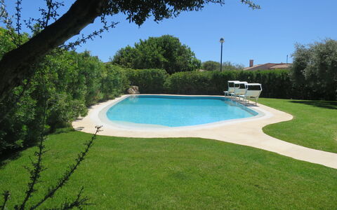 Rei Sole (Rei308): Acqua, Proprietà, Cielo, Pianta, Piscina, Azzurro, Albero, Paesaggio Naturale, Shade, Lotto