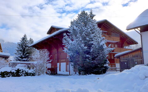 Saanen 100: Nube, Cielo, Neve, Costruzione, Pianta, Finestra, Albero, Casa, Ramo, Larice