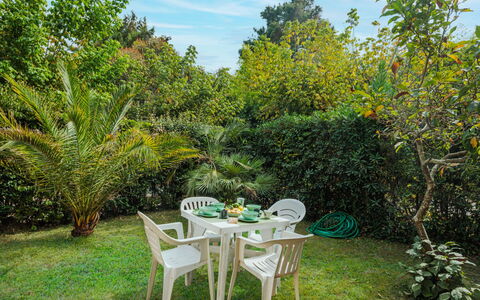 La Rocchetta: Pianta, Nube, Comunita 'Impianto, Cielo, Paesaggio Naturale, Tavolo, Sedia, Vegetazione, Erba, Albero