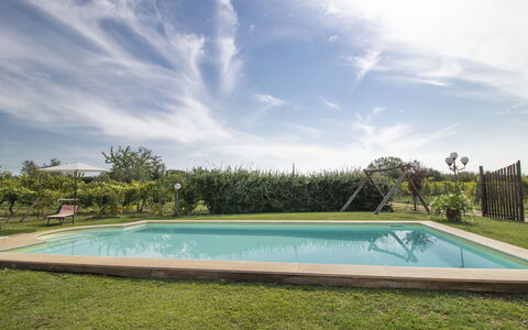 La Quercia: Acqua, Nube, Cielo, Proprietà, Pianta, Piscina, Albero, Rettangolo, Shade, Erba