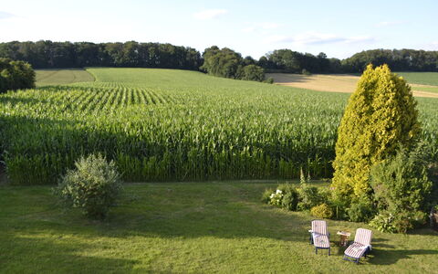 Am Rotenberg: Cielo, Pianta, Nube, Proprietà, Albero, Paesaggio Naturale, Natura, Lotto, Hedge, Agricoltura