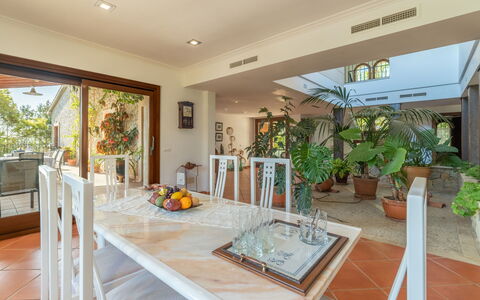 Turixant Dalt: Pianta, Proprietà, Mobilia, Tavolo, Vaso Di Fiori, Pianta Della Casa, Legna, Interior Design, Portico, Sedia