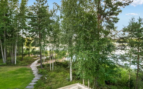 Torniniemi: Foglia, Albero, Verde, Vegetazione, Arbusto, Comunita 'Impianto, Tronco, Primavera, Woody Impianto, Giardino