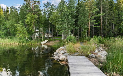 Torniniemi: Acqua, Corpo D'Acqua, Albero, Ambiente Naturale, Natura, Paesaggio Naturale, Vegetazione, Banca, Alveo