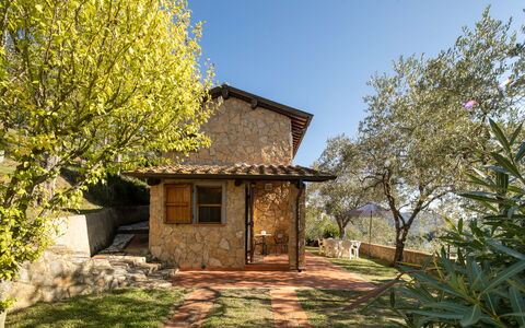 Casa Del Colle: Pianta, Cielo, Comunita 'Impianto, Costruzione, Finestra, Paesaggio Naturale, Legna, Albero, Lotto, Erba