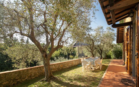 Casa Del Colle: Pianta, Cielo, Albero, Shade, Erba, Paesaggio Naturale, Legna, Costruzione, Paesaggio, Tinte E Ombre