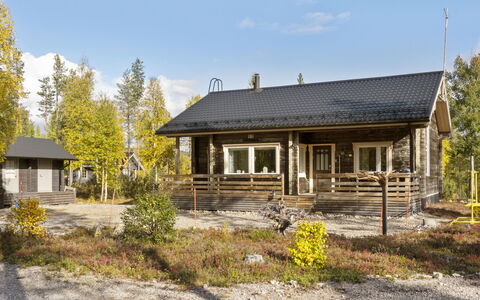 Lapinvouti: Legna, Villetta, Log Cabin, Foresta, Capannone, Edifici Giardino, Larice, Woodland, Color Legno