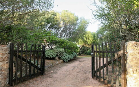 Contraruia: Pianta, Cielo, Paesaggio Naturale, Recinzione, Albero, Lotto, Vegetazione, Manto Stradale, Shade, Legna