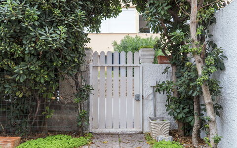 La Terrazza Di Santa Marinella: Pianta, Proprietà, Foglia, Botanica, Recinzione, Porta, Vegetazione, Lotto, Legna