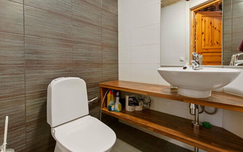 Anttoora 2: Toilet Seat, Idraulico Fixture, Pavimentazione, Bagno, Gabinetto, Lavandino Del Bagno, Legna, Lavello, Pavimento, Interior Design