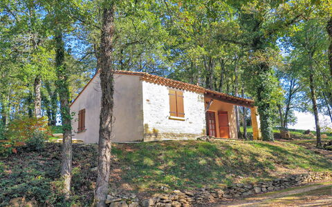Le Châtaignier: Pianta, Finestra, Foglia, Albero, Costruzione, Paesaggio Naturale, Legna, Lotto, Biome, Erba