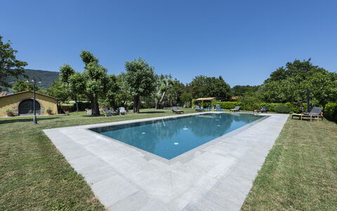 Villa Chio: Acqua, Cielo, Piscina, Pianta, Albero, Shade, Corpo D'Acqua, Rettangolo, Costruzione, Zona Residenziale