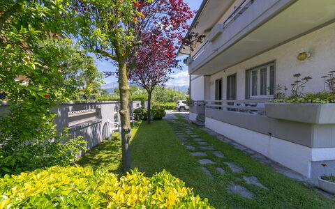 Pontremoli Apartments: Pianta, Giorno, Cielo, Costruzione, Botanica, Natura, Albero, Giallo, Fiore, Vegetazione