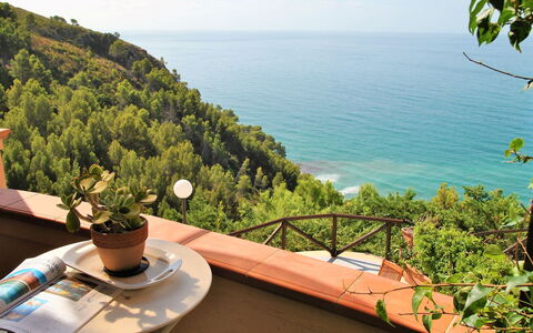 Arborea: Mare, Oceano, Costiera E Morfologie Oceanic, Costa, Tropici, Eco Hotel, Balcone, Baia, Ricorrere, Mobili Da Esterno