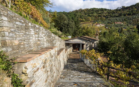 Villa Montignoso: Cielo, Pianta, Nube, Costruzione, Legna, Paesaggio Naturale, Montagna, Pendenza, Manto Stradale, Albero