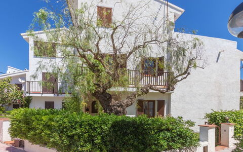 Blanca Mediterranea: Costruzione, Parete, Finestra, Zona Residenziale, Casa, Facciata, Quartiere, Casa, Arbusto, Insediamento Umano