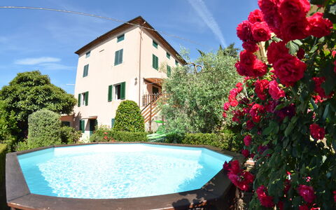 Alla Collina Del Sole: Fiore, Acqua, Cielo, Pianta, Proprietà, Giorno, Nube, Verde, Costruzione, Blu