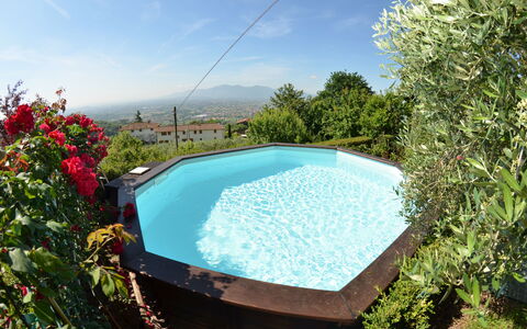 Alla Collina Del Sole: Acqua, Cielo, Fiore, Piscina, Nube, Natura, Pianta, Rettangolo, Shade, Mobili Da Esterno