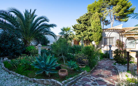 Salamanca: Pianta, Cielo, Costruzione, Botanica, Finestra, Albero, Casa, Lotto, Arecales, Vegetazione