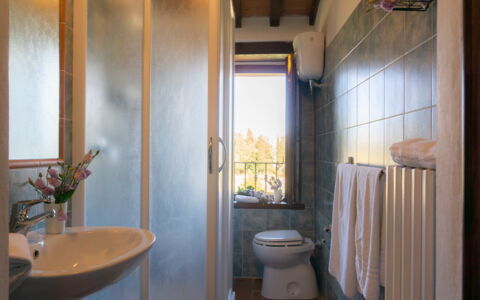 Villa Lugnano: Costruzione, Proprietà, Idraulico Fixture, Lavello, Pianta, Viola, Bagno, Specchio, Interior Design, Legna
