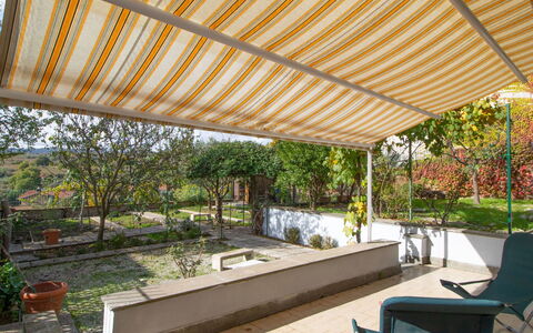 Kiwi e L'Uva - Tuscia: Pianta, Proprietà, Shade, Vaso Di Fiori, Mobili Da Esterno, Eco Hotel, Tempo Libero, Piscina, Zona Residenziale, Immobiliare