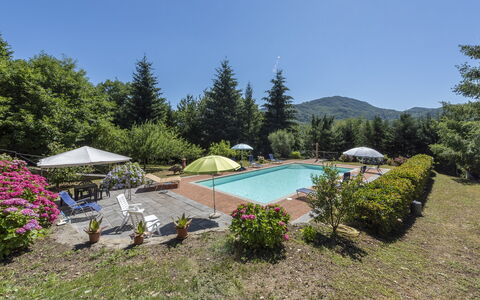 Villa Rosata: Pianta, Acqua, Fiore, Ombrello, Comunita 'Impianto, Piscina, Cielo, Albero, Mobili Da Esterno, Paesaggio Naturale