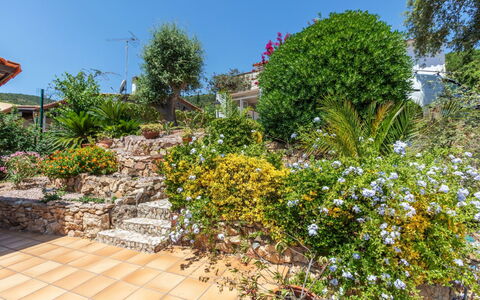 El Suro: Fiore, Arbusto, Giardino, Pianta Fiorita, Landscaping, Giardino Botanico, Cortile