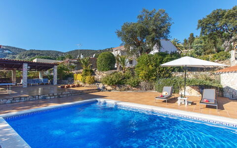 El Suro: Acqua, Pianta, Proprietà, Piscina, Cielo, Blu, Azzurro, Albero, Ombrello, Shade