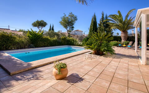 Harmony: Pianta, Cielo, Acqua, Piscina, Azzurro, Albero, Arecales, Mobili Da Esterno, Shade, Paesaggio