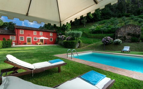 Villa Guamo: Pianta, Acqua, Proprietà, Mobilia, Costruzione, Verde, Natura, Shade, Mobili Da Esterno, Piscina