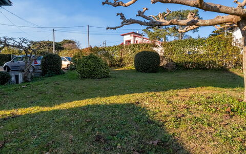 Errepira: Cielo, Pianta, Ruota, Natura, Foglia, Botanica, Paesaggio Naturale, Albero, Ramo, Nube