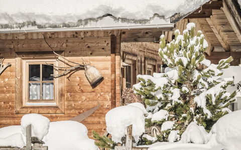 Lindenalm: Pianta, Finestra, Neve, Costruzione, Bianca, Fiore, Ramo, Ramoscello, Legna, Congelamento