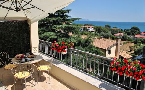 La Terrazza di Dinky: Pianta, Costruzione, Fiore, Cielo, Proprietà, Vaso Di Fiori, Tavolo, Ombrello, Albero, Mobili Da Esterno