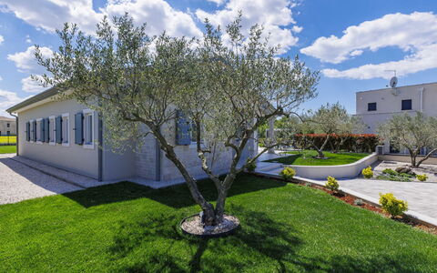 Villa Civitan: Arbusto, Giardino, Landscaping, Estate, Shade, Cortile, Prato, Driveway, Backyard, Hacienda