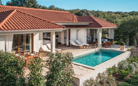 Rovinj Bale 311: Neve, Cielo, Montagna, Finestra, Nube, Costruzione, Casa, Pendenza, Albero, Villetta