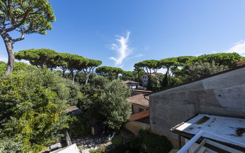 Residenza Morin: Nube, Cielo, Pianta, Costruzione, Albero, Urban Design, Arecales, Paesaggio, Cumulo, Erba