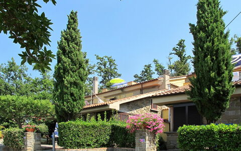 Vinci 962: Pianta, Cielo, Costruzione, Proprietà, Fiore, Foglia, Albero, Vegetazione, Finestra, Quartiere