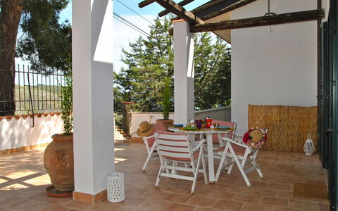 Corbezzolo: Proprietà, Mobilia, Tavolo, Pianta, Sedia, Tavolo Esterno, Legna, Vaso Di Fiori, Shade, Interior Design