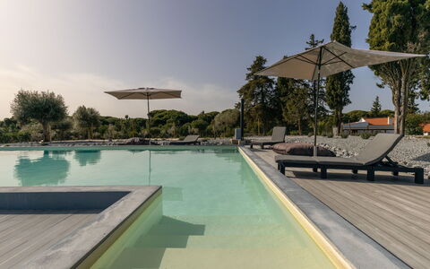 Alcácer Do Sal 1: Acqua, Cielo, Proprietà, Piscina, Pianta, Albero, Mobili Da Esterno, Shade, Ombrello, Lettino