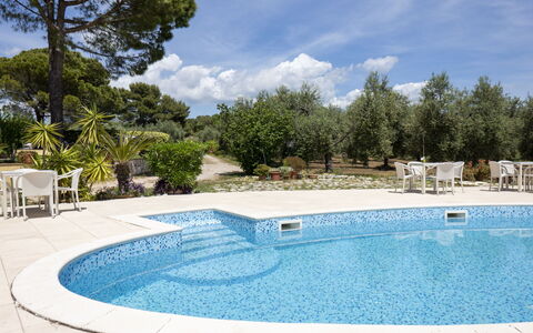 Quattro Rose: Acqua, Nube, Cielo, Proprietà, Piscina, Azzurro, Albero, Corpo D'Acqua, Rettangolo, Shade