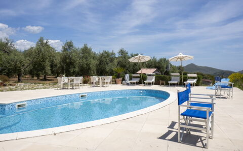 Quattro Rose: Acqua, Cielo, Nube, Piscina, Mobili Da Esterno, Shade, Corpo D'Acqua, Albero, Rettangolo, Tempo Libero
