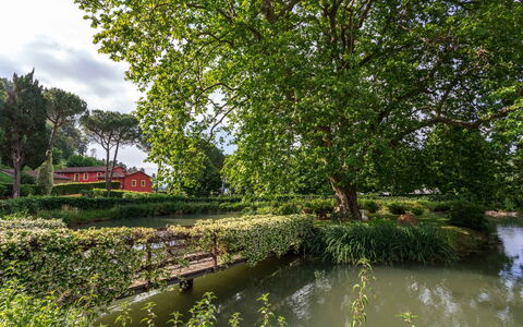 Villa Guasperini: Acqua, Pianta, Verde, Paesaggio Naturale, Albero, Nube, Alveo, Corpo D'Acqua, Lago, Banca
