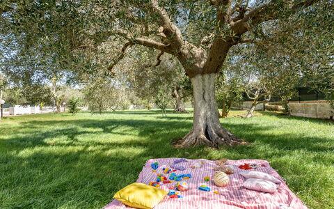 Villa Käthe Con Piscina Privata: Pianta, Botanica, Albero, Erba, Paesaggio Naturale, Shade, Groundcover, Tempo Libero, Pascolo