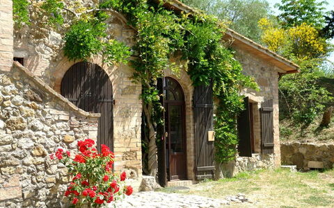 Tenuta Le Sodole: Pianta, Fiore, Costruzione, Finestra, Porta, Albero, Erba, Arbusto, Area Rurale, Paesaggio